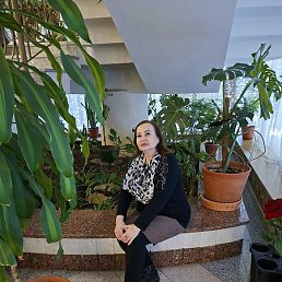 �������, ������-���, 53 ����