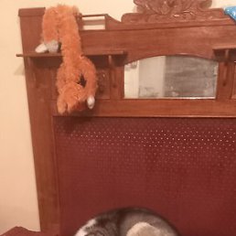 ������, ������, 49 ���