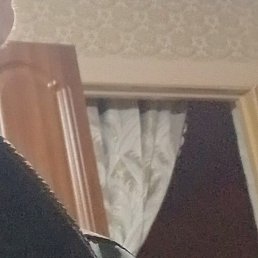 ��������, ���������, 48 ���