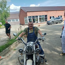 ���� ������, ������, 53 ���� - ��������� 4 ������ 2026