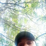 , 43 , 