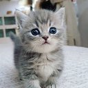 ���� �����, ����������� - ��������� 24 ������ 2025 � ������ ���� ����������