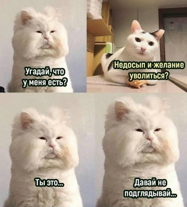 ���� �� ��� ����� �������, ������� �� ����� ���, ������ �� ������ ������ ���������� � �������� ...