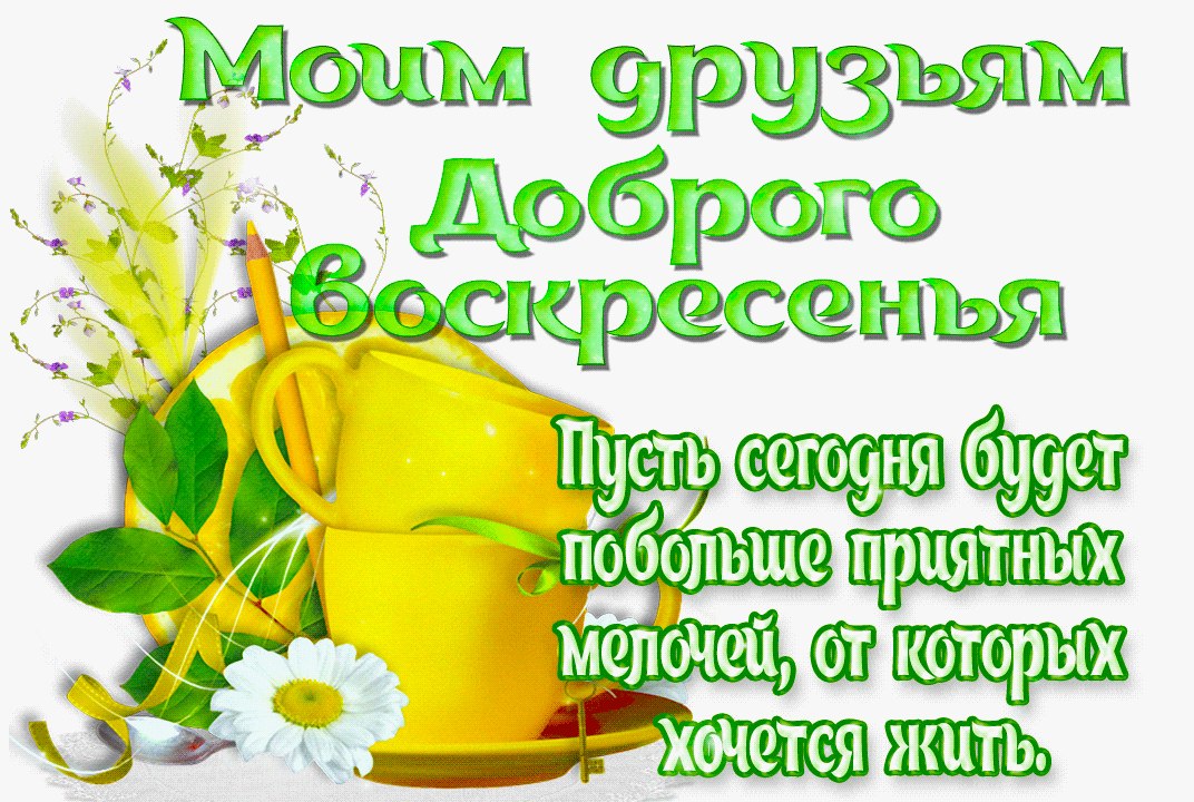 �������� �� ����� ����. - 24 ��� 2026 � 07:44