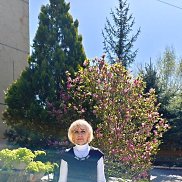 , 61 , 