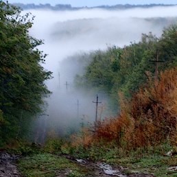 �������, ��������, 49 ���