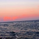 ���� ����, ��������� - ��������� 20 ������ 2025 � ������ ���� ����������