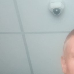 , , 49 