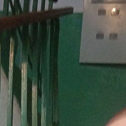 �������, �����, 47 ���