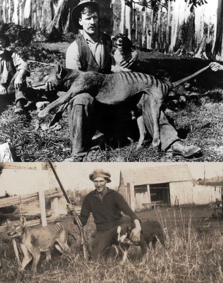 e o  c  . 1930-.