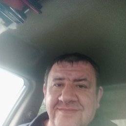 , 44, 