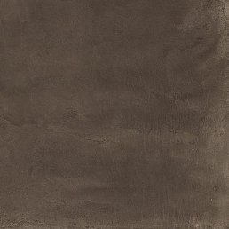 �������, ���������, 19 ���