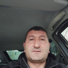 , 44, 