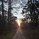 ���� �����, �����, 62 ���� - ��������� 23 ������� 2025