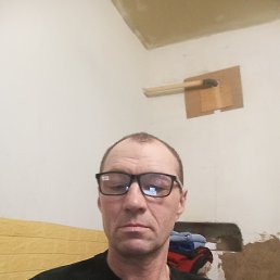 , 51, 