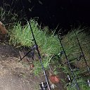 ���� ������, �������, 33 ���� - ��������� 12 ������ 2023 � ������ ���� ����������