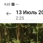 ����, 54 ����, ������
