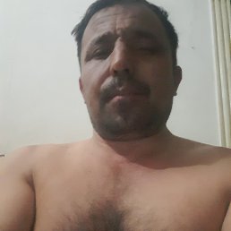  , , 37  -  12  2024