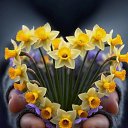 ���� �������, ������ - ��������� 26 ������ 2026 � ������ ������ ��������