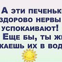 ���� �������, �����������, 48 ��� - ��������� 10 ������ 2026 � ������ ������ ��������