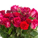 ���� �������, ������, 43 ���� - ��������� 18 ����� 2026 � ������ ���� ����������