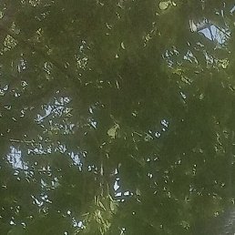 ��������, �������, 53 ����