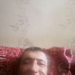 , 51, 