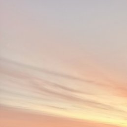 ��������, ��������, 48 ���