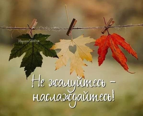 " ") - 4  2025  11:43