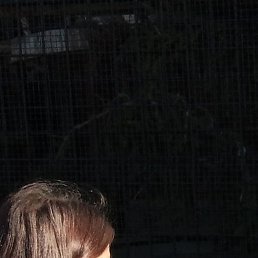 ������, ������, 37 ���