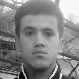 �����, �����-���������, 33 ����