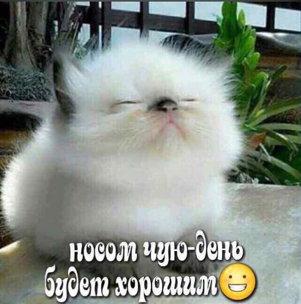 �������� - 25 ������ 2023 � 16:30