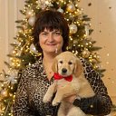 ���� ������, ������, 57 ��� - ��������� 28 ������ 2025 � ������ ���� ����������