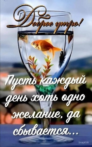 ***Victoria Viktorovna*** - 20 ���� 2025 � 04:17