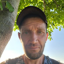 , 42, 