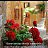 ���� Arzu, �������� - ��������� 13 �������� 2026