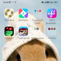 ���� �����, ����, 55 ��� - ��������� 26 ������� 2023