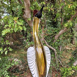 ���� ������, ������, 47 ��� - ��������� 1 ���� 2024