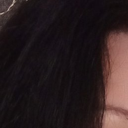 �����, �����������, 41 ���