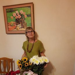 ���� ������, ������������, 68 ��� - ��������� 18 ����� 2026