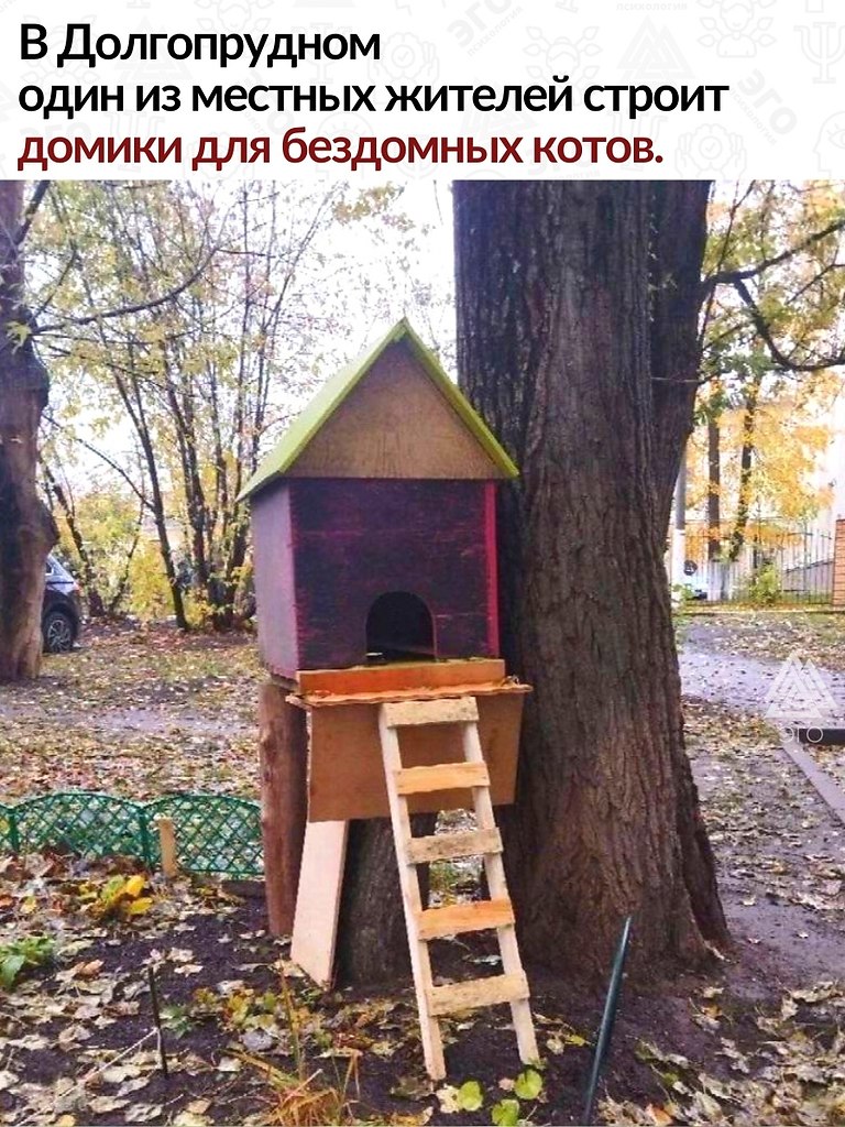  ,   .    !