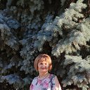 ���� ����, ���������, 68 ��� - ��������� 15 ������ 2023