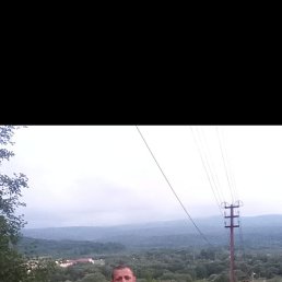 , 41, 
