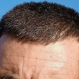 �����, ������, 43 ����