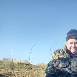 ������, �����-���������, 52 ����