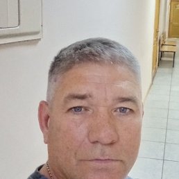 , 56, 