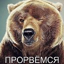 ���� ��������, ������, 39 ��� - ��������� 26 ������ 2023 � ������ ���� ����������