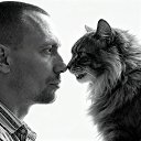 ���� ϸ��, �����������, 38 ��� - ��������� 24 ������ 2026 � ������ ���� ����������