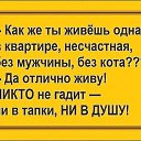 ���� �������, ���������, 64 ���� - ��������� 14 ������� 2024 � ������ ������ ��������