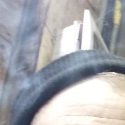 ����, ���������, 41 ���